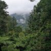 Beautiful landscape of Ruisui forest trail